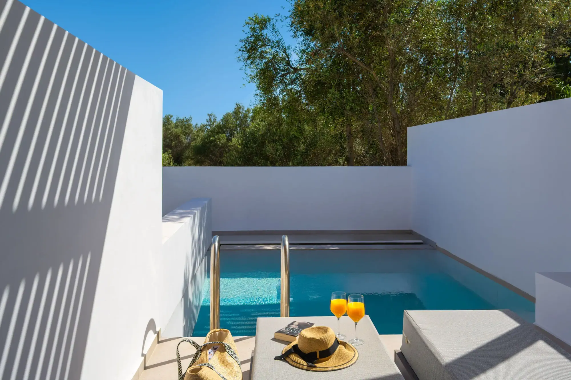 Double Room with private pool