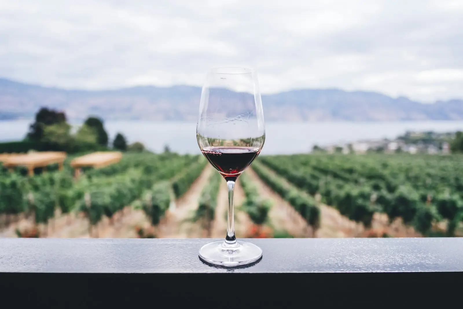 Local wine tasting in Rhodes