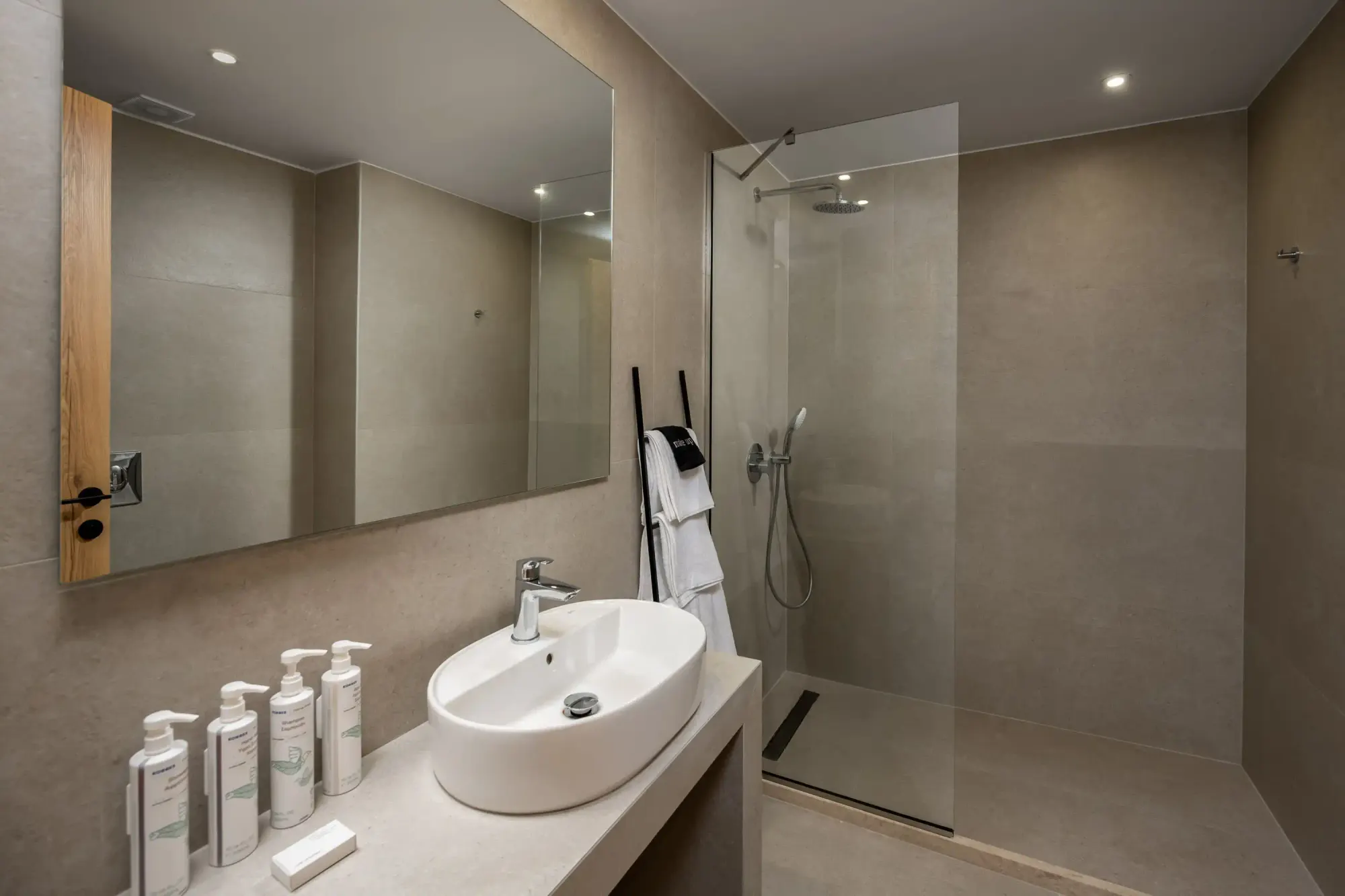 Bathroom & walk-in shower